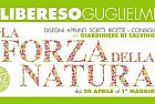 La forza della Natura. Libereso Guglielmi,  Evento on line