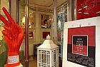 SEGNI CROMIE FORME. La BIENNALE di BARI sbarca a ROMA