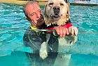 I cani eroi della Sics in acqua per la campagna sul soccorso "A Prova di Zampa"