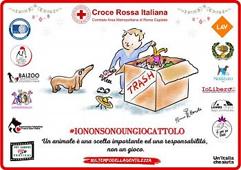 "Io non sono un giocattolo" la campagna di Natale della Croce Rossa di Roma