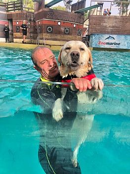 I cani eroi della Sics in acqua per la campagna sul soccorso "A Prova di Zampa"